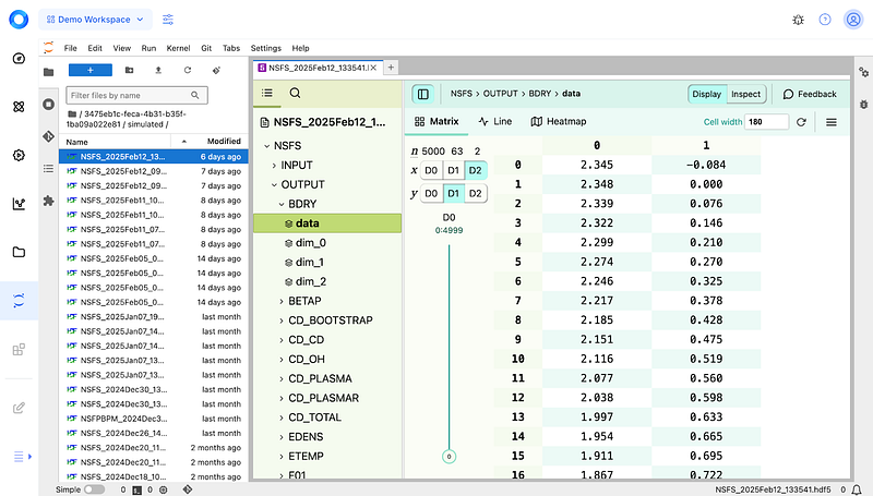 Visualizing simulation results using the HDF5 JupyterHub plugin